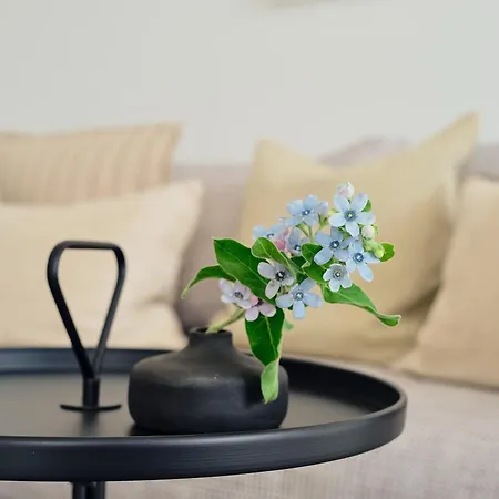 B14 Mit Suedbalkon & Nutzung Der Wellness- & Aktivbereiche Im 