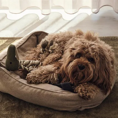 Lägenhet B14 Mit Suedbalkon & Nutzung Der Wellness- & Aktivbereiche Im 