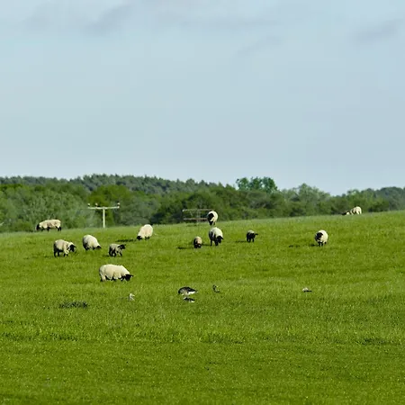 B14 Mit Suedbalkon & Nutzung Der Wellness- & Aktivbereiche Im 