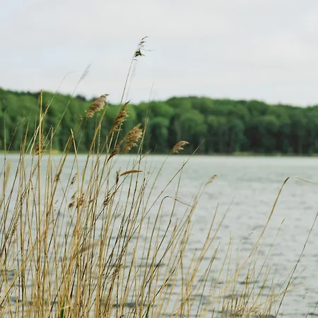 B14 Mit Suedbalkon & Nutzung Der Wellness- & Aktivbereiche Im 